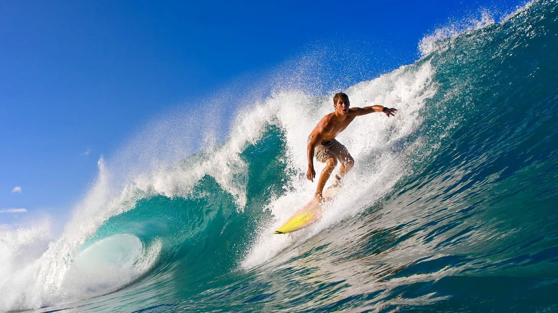 全国青少年舞龙舞狮争霸赛精彩纷呈,第十二届全国舞龙舞狮锦标赛